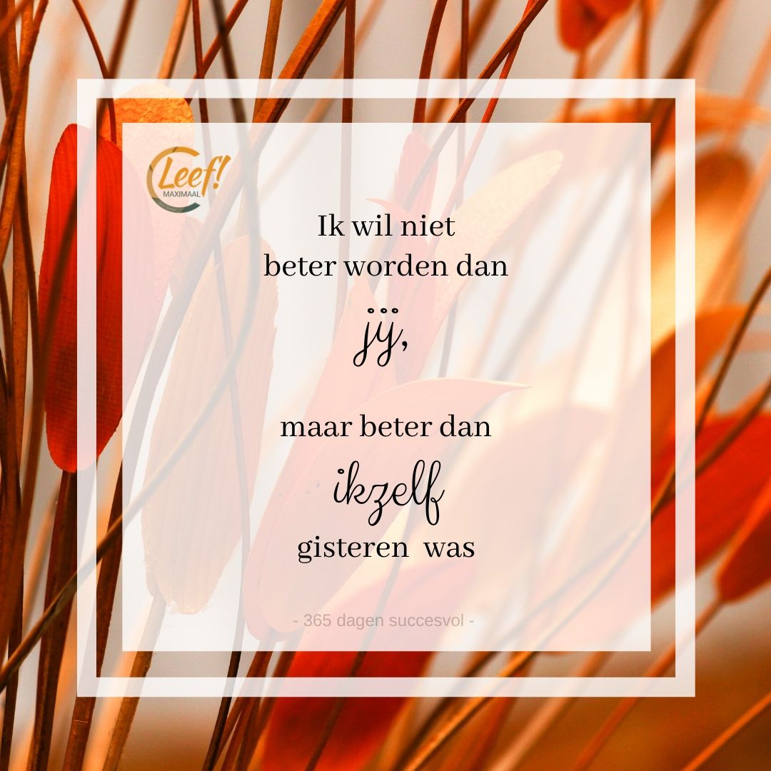 WerkIdeaal.nl