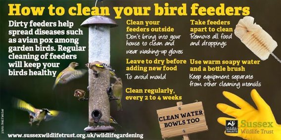 How to clean bird feeders to help prevent spread of disease to your garden birds. Via <a href="/SussexWildlife/">Sussex Wildlife Trust 🦔</a> #birdwatching #wildlife