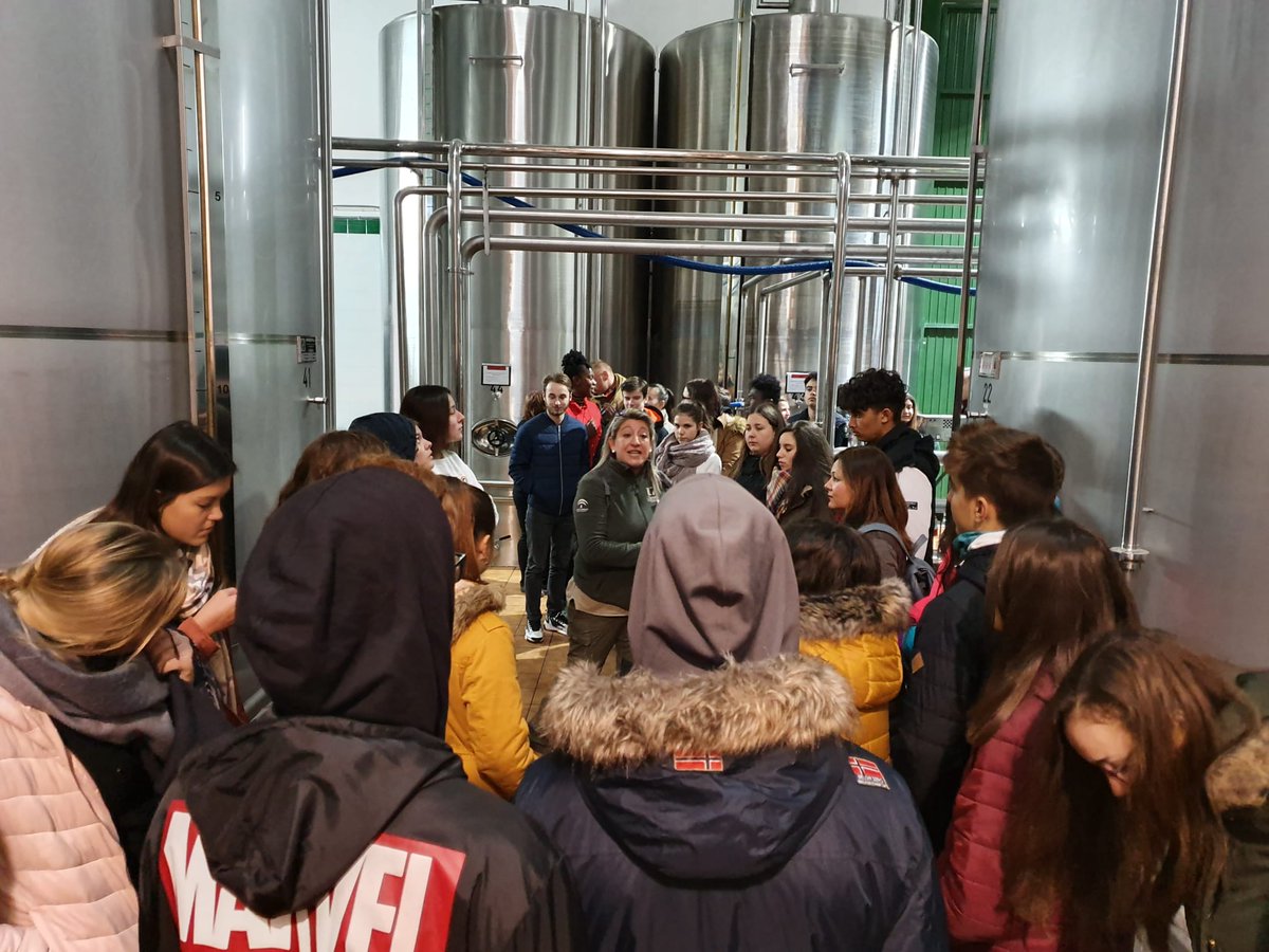 aceites_cazorla's tweet photo. Grupo de estudiantes de intercambio franceses visitan nuestra Cooperativa para conocer la cultura del olivo y del aceite de oliva de la mano de Turisnat  ¡Qué buena mañana!👏 🇫🇷 
#AOVE #Oleoturismo #Oleotour #TurismoRural #Turismo #Tour #SierraDeCazorla #Cazorla #Francia https://t.co/tSfO11SKiy