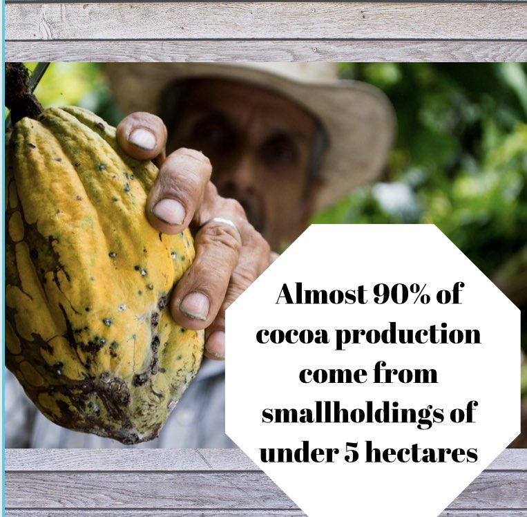 Cocoa is a cash crop grown in humid tropics. Within 57 different countries there is about 6.5 million hectares planted. More than 20 million people depend directly on cocoa production for their livelihood. #WIUAglife <a href="/WIUAg/">WIU School of Agriculture</a>
