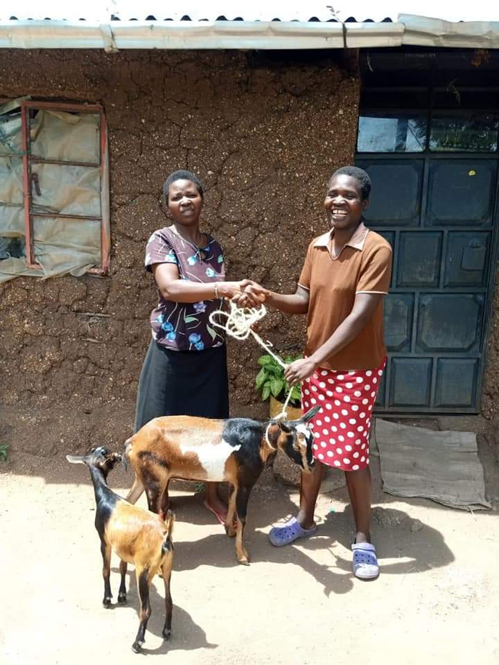 MissionsManna's tweet photo. Widow recieving gift of goat from Manna Ministries Kenya https://t.co/zCVkdpuHJH