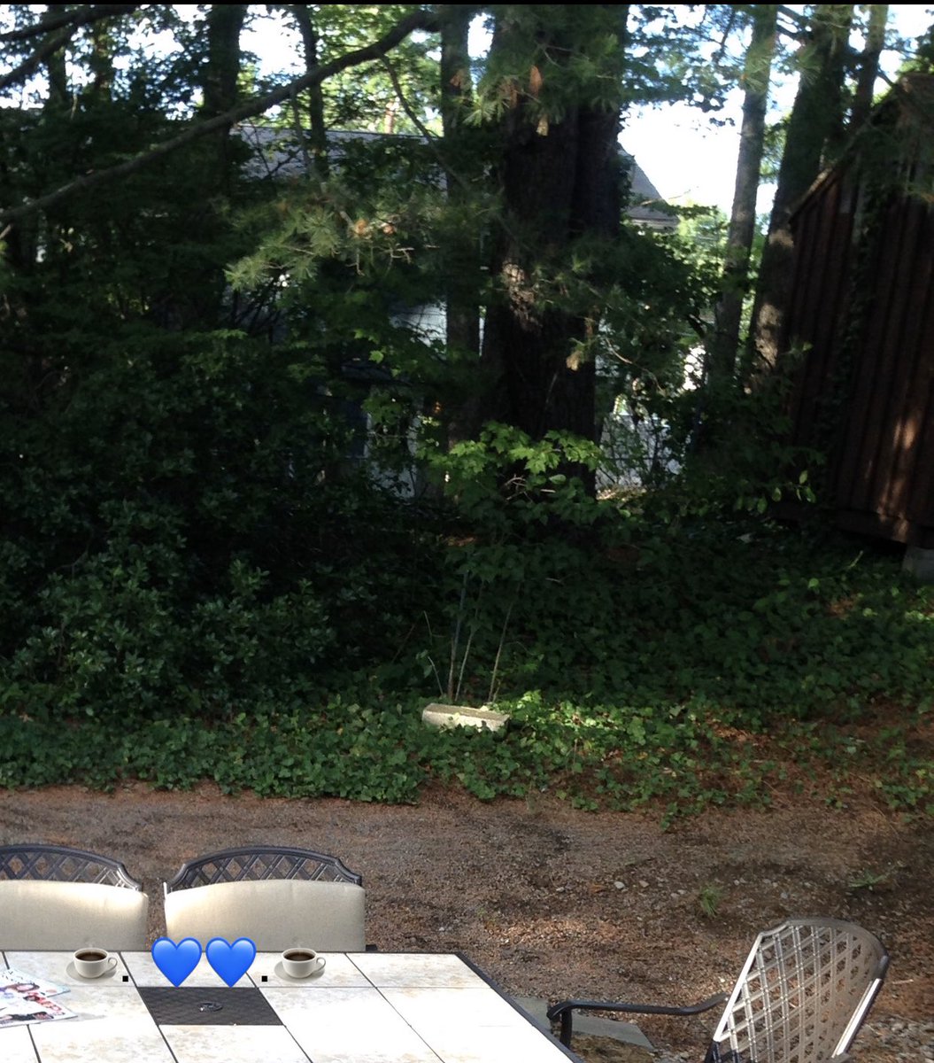 YNHallak's tweet photo. @NajemHaifa Whoa wow wow... I admire your developed technique and creativity!!
Happy Tuesday Haifaaa...🌹
🇱🇧Lebanese Coffee for Two🕊
#LoveIsThePulse 💙
#RomeoAndJuliet🌸
OH...The Garden 💕Summertime
https://t.co/7z9mgPPGcX https://t.co/5qIRCduB6X
