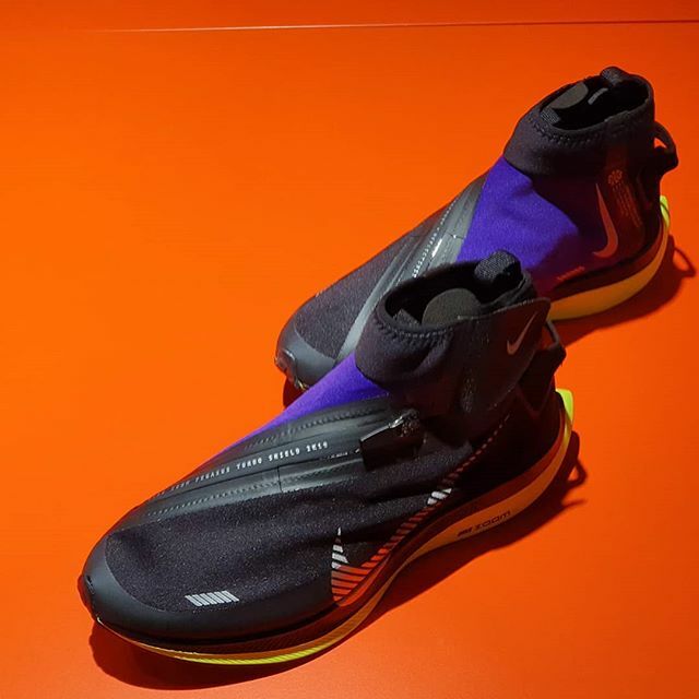 Rosario Palazzolo tweet media