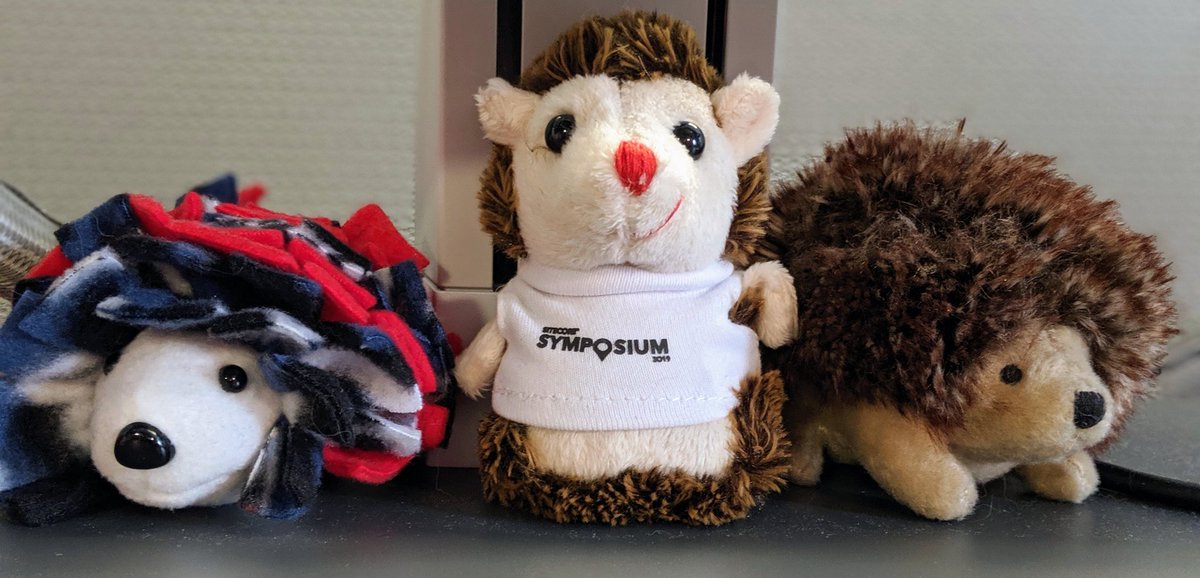 Back into the swing of things after a great #SitecoreSYM  and thanks to <a href="/JaxBaxter/">Nope</a> and the #hedgiehunt, my collection has a new friend! 🦔❤️