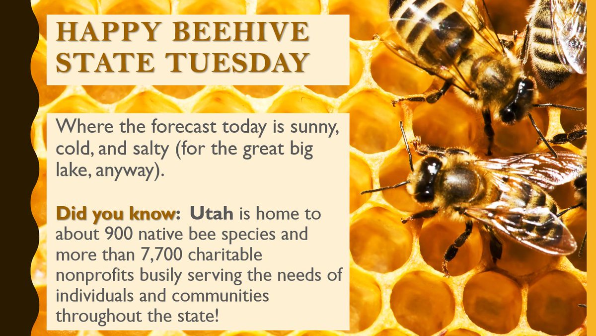 Did you know: Utah is home to about 900 native bee species and more than 7,700 charitable #nonprofits busily serving the needs of individuals and communities throughout the state! More fun facts and state-by-state data at bit.ly/nonprofitimpact