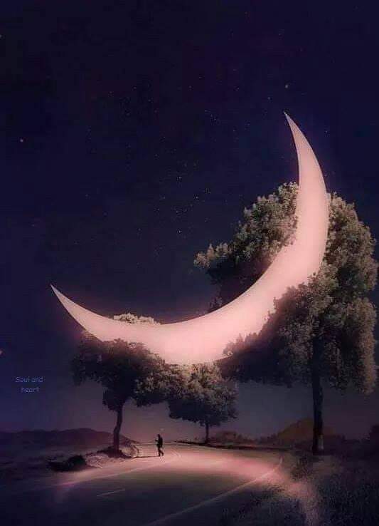 KaiOfApril's tweet photo. "Cuelgan de la luna
  los corazones
  que se secaron
  bajo la lluvia"

-@raqueluck 

Gabon https://t.co/zLTXu1Oran
