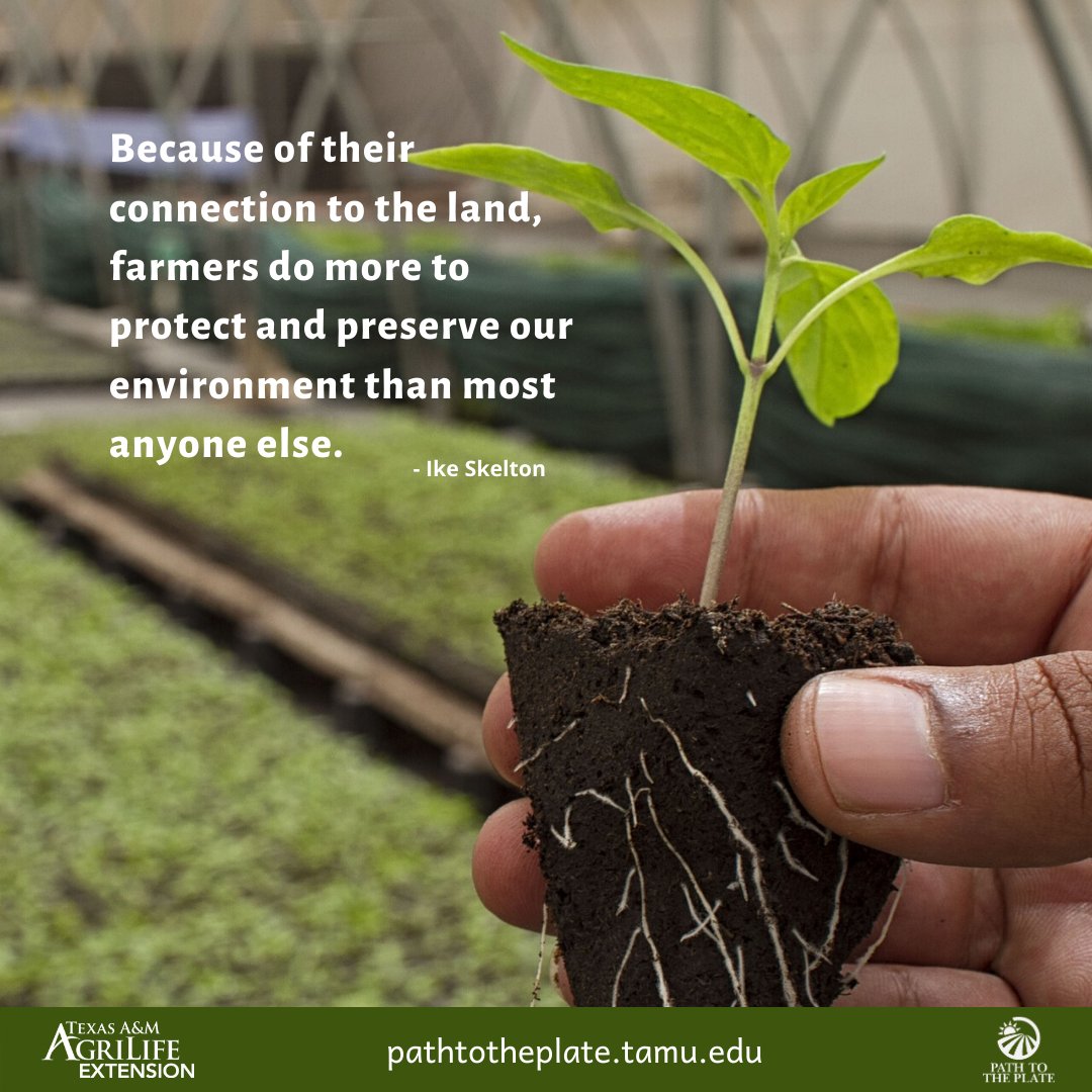 Path to the Plate (@pathtotheplate) on Twitter photo 