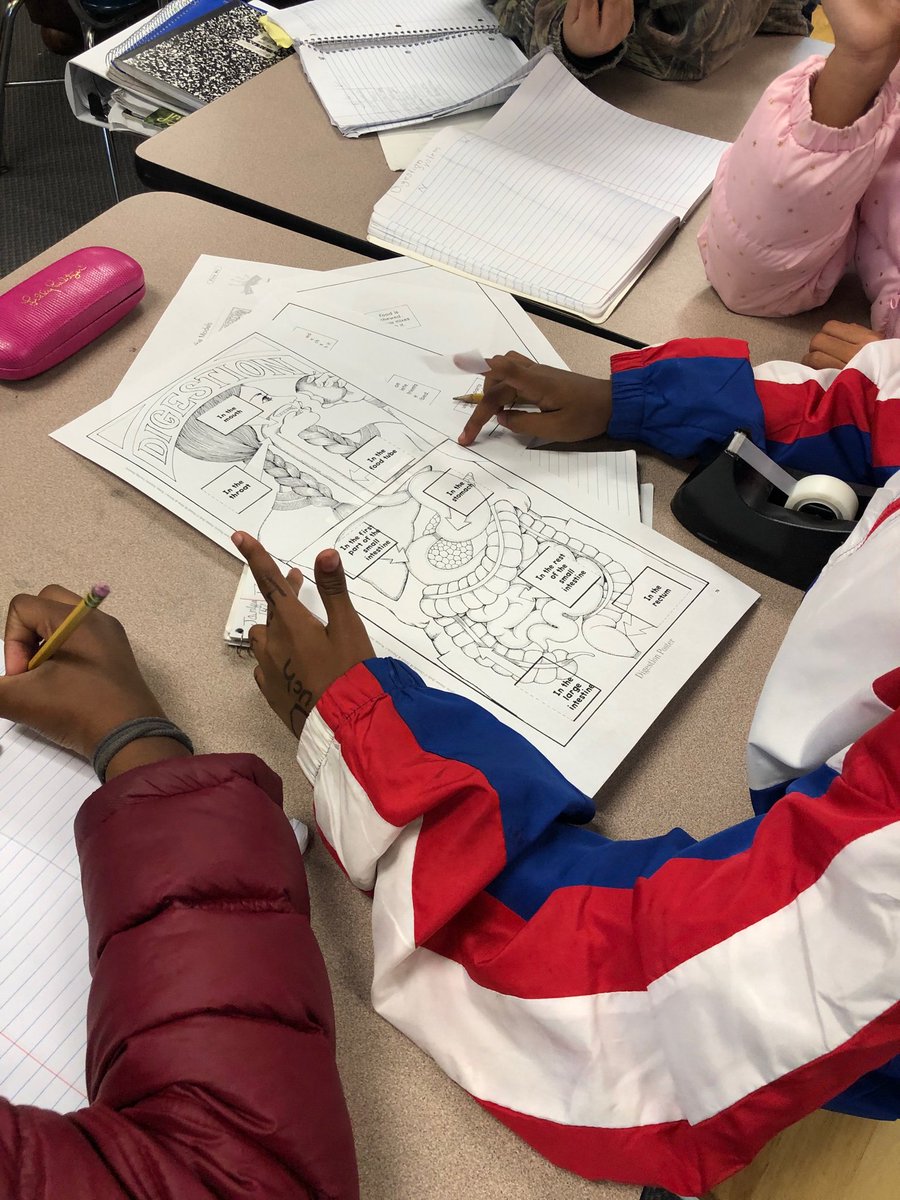 a_wise_teacher's tweet photo. Exploring human body systems by making different types of models! @patriciavwells @CarverESCubs @WCPSSElemScie #Developingandusingmodels #SEPs https://t.co/3akcRiGNya