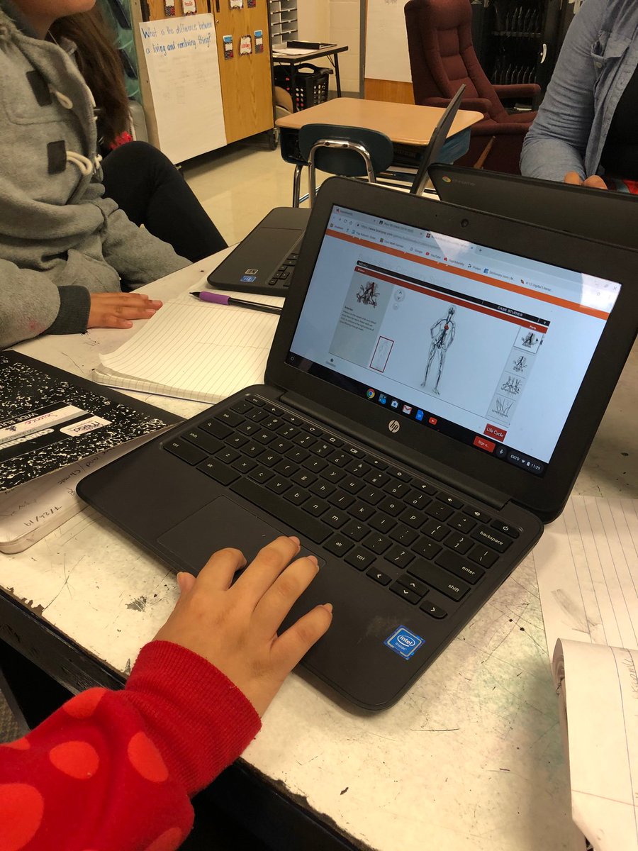 a_wise_teacher's tweet photo. Exploring human body systems by making different types of models! @patriciavwells @CarverESCubs @WCPSSElemScie #Developingandusingmodels #SEPs https://t.co/3akcRiGNya