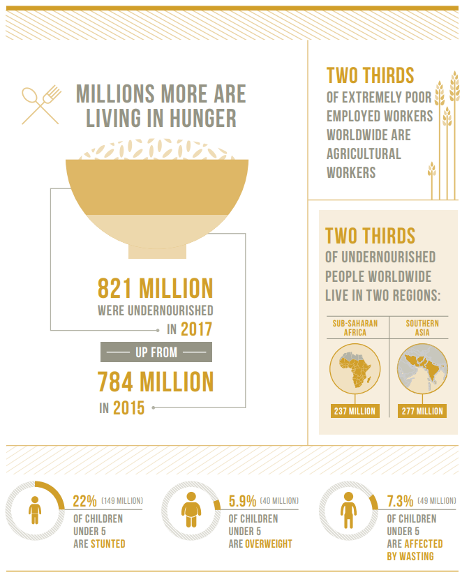 FactSet's tweet photo. The UN estimates that 821 million people go to bed hungry every day. This #HungerWeek, FactSetters are coming together for hunger alleviation activities around the world. https://t.co/CWIb8Ns7eh https://t.co/IbBRS39u8z