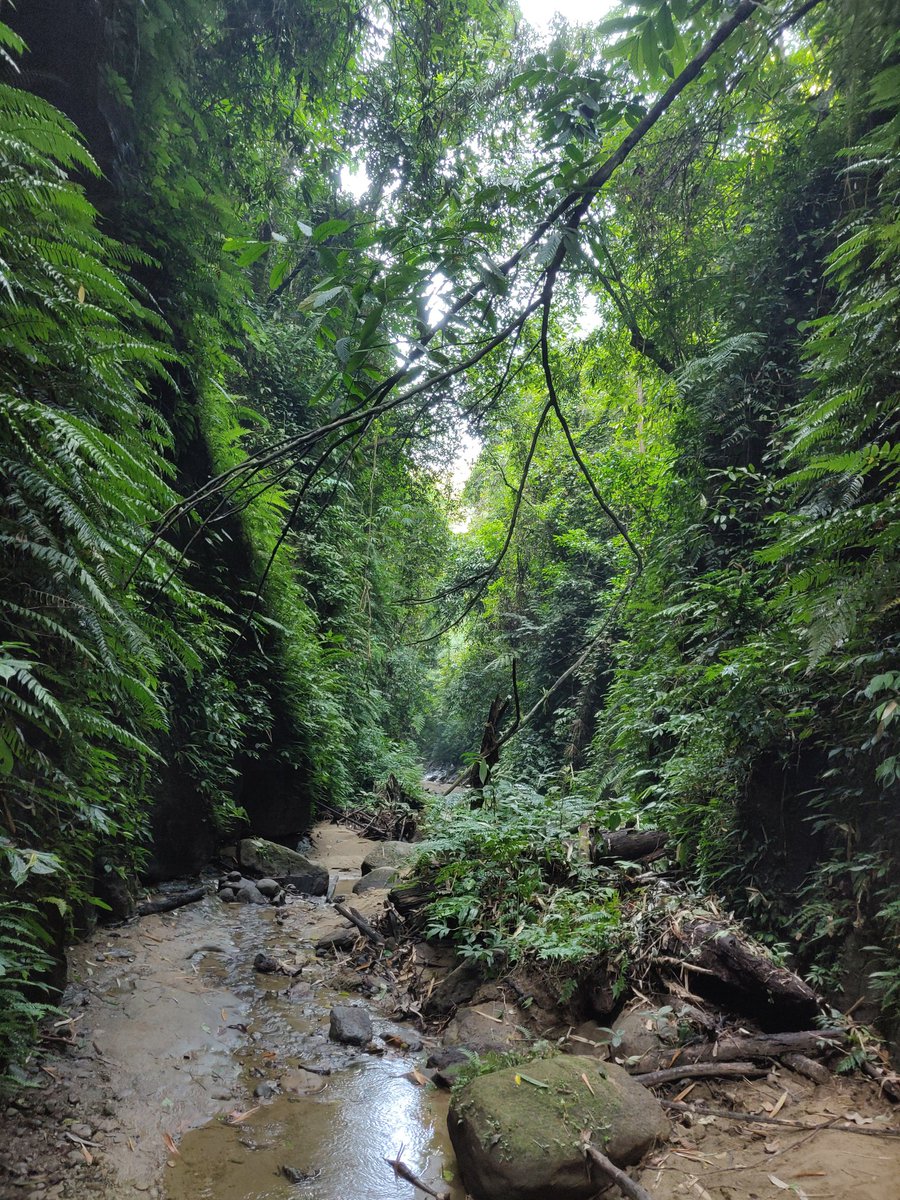 Magnificent Tripura.Walking into the mid river Cave at Chhaabimura.