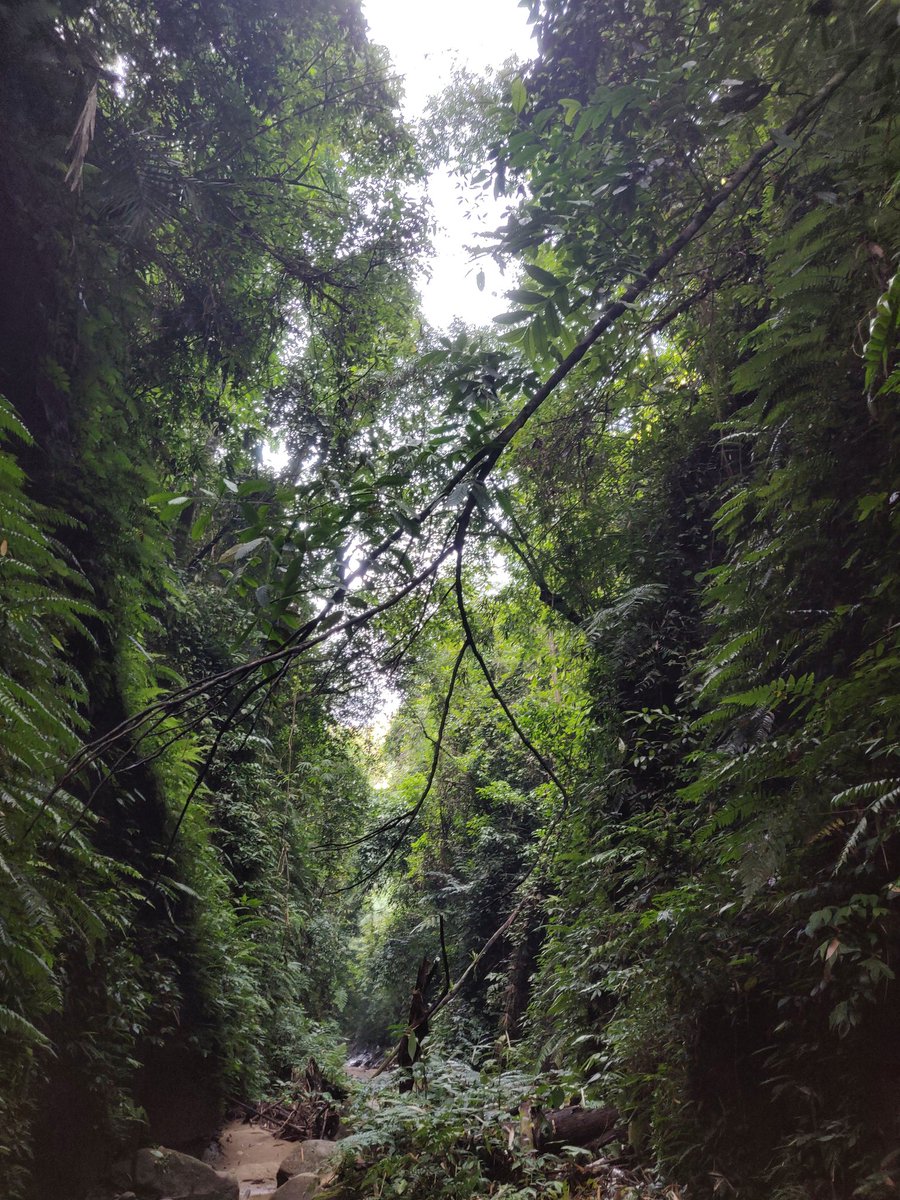 Magnificent Tripura.Walking into the mid river Cave at Chhaabimura.