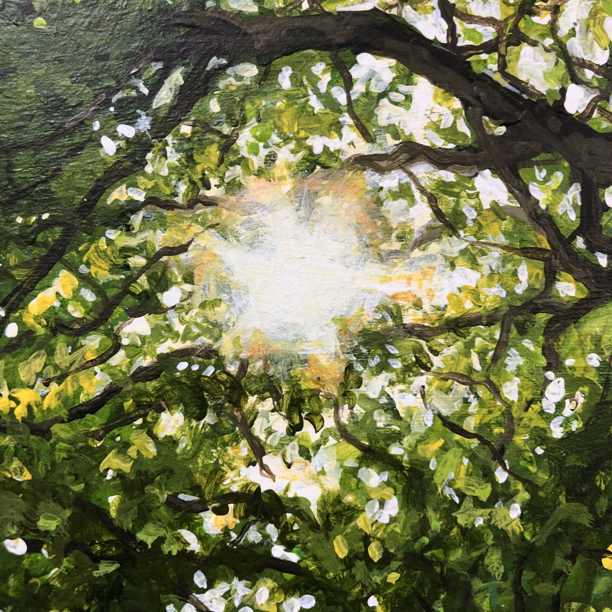 AliceHole's tweet photo. Sun through the trees on my WIP ☀️🍂🌿
#paintingdetail #penrose #penroseestate #sun #sunthroughtrees #acrylicpainting #helston #cornishpainting #cornwall #penrosewoods https://t.co/vu5B8UcBYN