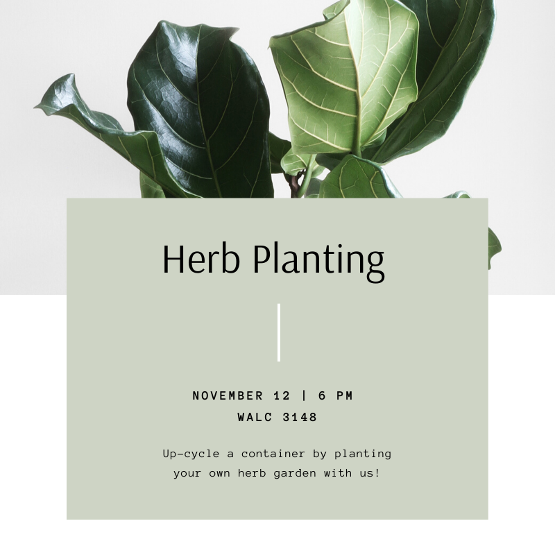 Come out and plant some herbs with us tonight!