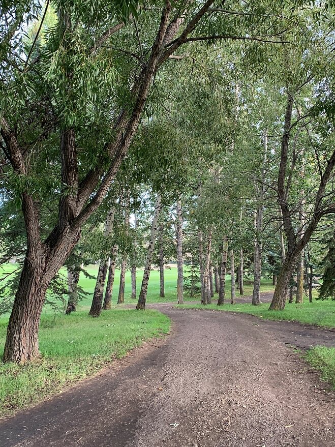 GolfLacombe's tweet image. Happy Tuesday everyone. Time to guess that hole. Last week was too easy. #golflacombe