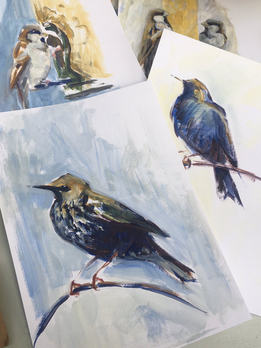 Back to quick sketches of my garden visitors <a href="/KateWhapham/">Kate Whapham</a> and <a href="/AnnaKDickerson/">Anna Dickerson</a> #birds #acrylicpainting #sketches