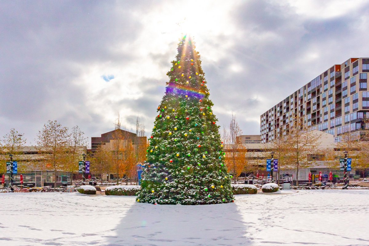 AndySpessard's tweet image. Fall + Winter = Finter Wall ❄️💕😘💕❄️ #finter