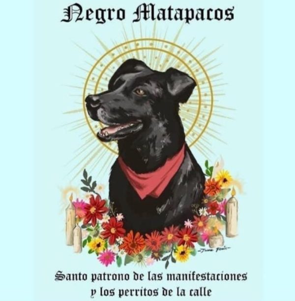 FSantanderCh's tweet image. «Revolucionario innato, padre de 32 hijos (reconocidos) y marido de 6 señoras, amigo del pueblo y la peor pesadilla de la policía»

San Negro Matapacos, Patrono de lxs que luchamos sin miedo y de los Perros botaos y tiraos a Choros, Ruega por Nosotrxs