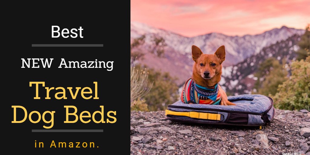 mariaAndresen7's tweet photo. ✅ Best NEW Amazing Travel dog Beds in Amazon.
Youtube video- https://t.co/LZFUIRCRvX
#dogbed #dogbeds #dogbedcover #dogbedsareoverrated #dogbedph #dogbedmatting #dogbedfail #dogbedduvet #dogbedding #dogbedswithstyle #best #TravelTuesday #dogs #Sonic #Disney #DACA #Verizon https://t.co/nWEV1CBXD9