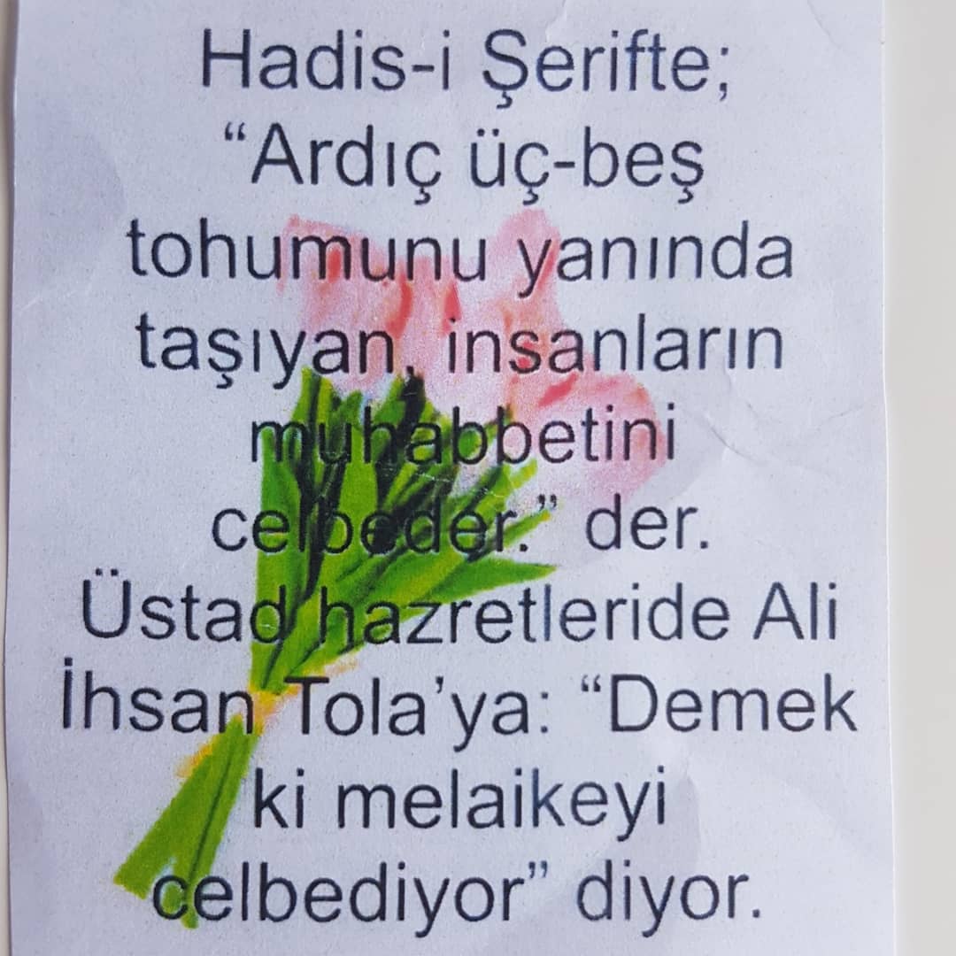 mk_epoksi's tweet photo. Ardıç tohumlu  araç cevşeni. 😍

isteyene kolye ya da anahtarlık olarak düzenlenir.🌺

şık ve zarif hediyelikler sahibini bekliyor. 🎉

sipariş için dm.

cevşenin içinde👇
⚘nazar ayeti
⚘ayet-el kürsi
⚘salavatı şerife
⚘felak suresi
⚘nas suresi
⚘ve cevşen
mevcut. https://t.co/0pUygKexSm