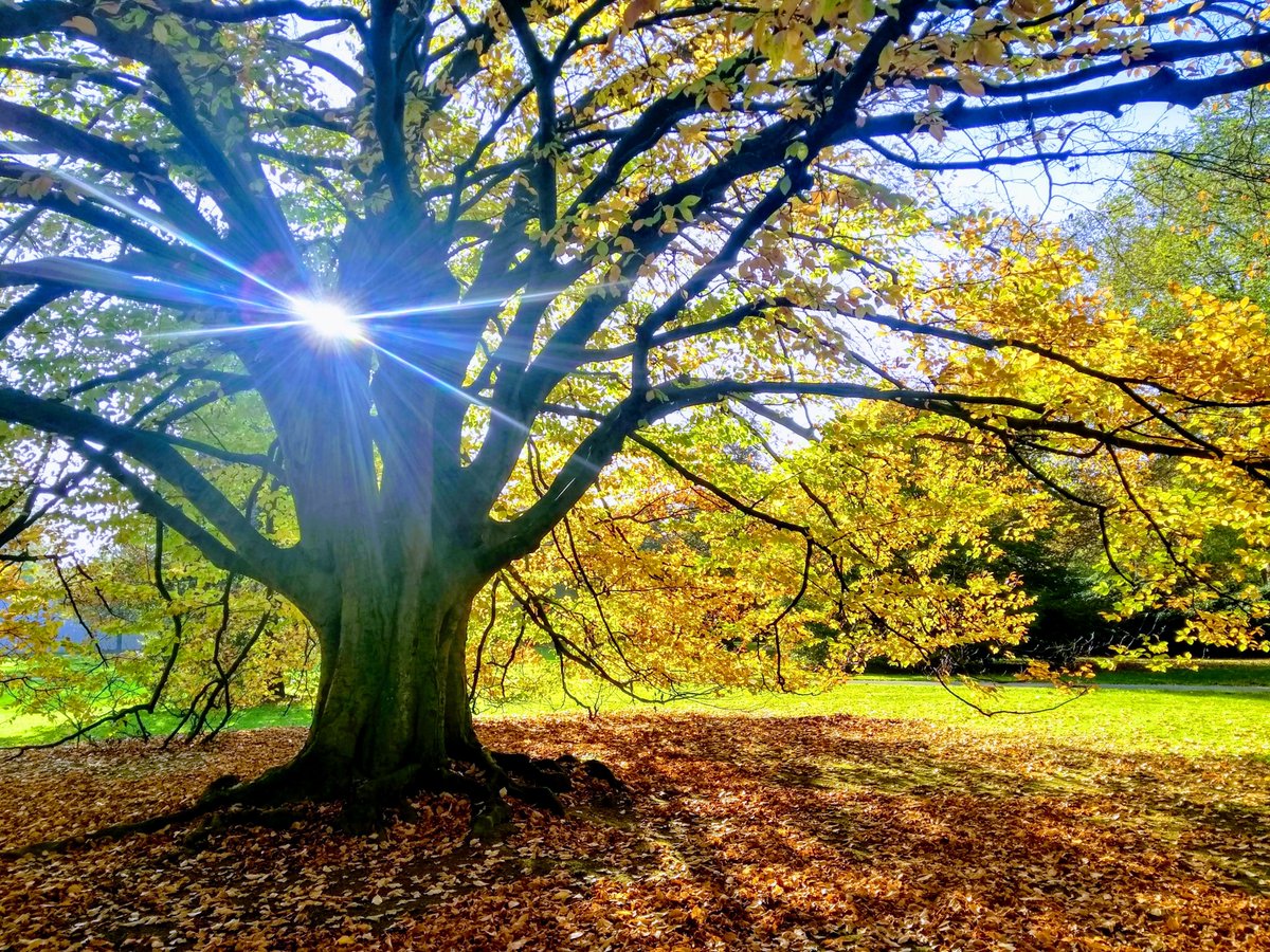 Onno Staal tweet media