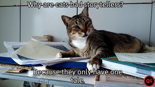 Questionable Status tweet media