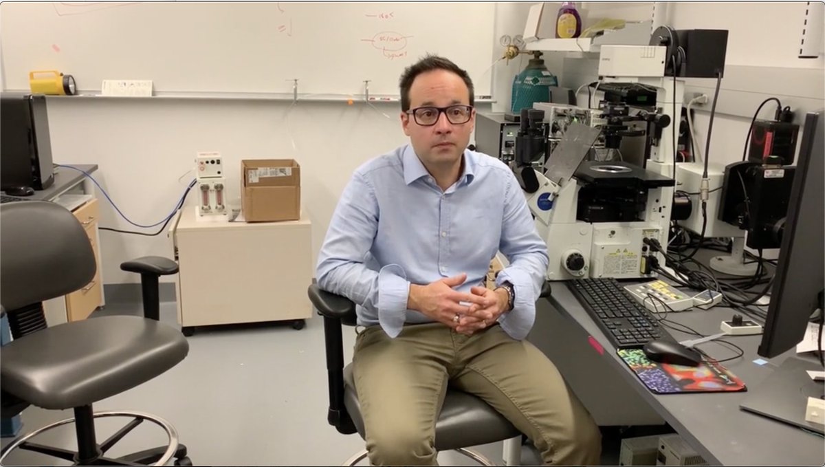 MolMetab's tweet photo. To see a full video of first author Emilio Mottillo talk about use of genetically-encoded sensors to detect #fattyacid production & trafficking, click here: https://t.co/XxcYXs5vS2
#lipolysis #adipocyte #lipid #luminescentsensor #fluorescentsensor https://t.co/8Y4bNoPyPQ