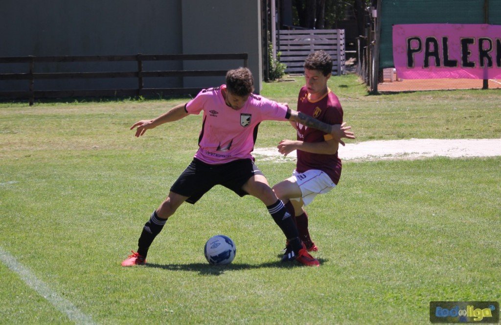 TodoligaTV's tweet photo. Divisional D-Título: @Scuola_Palermo venció a @ClubSeminario_U y quiere dar pelea

📷 https://t.co/F3yQnxQySR https://t.co/jTqsSGdQ9x