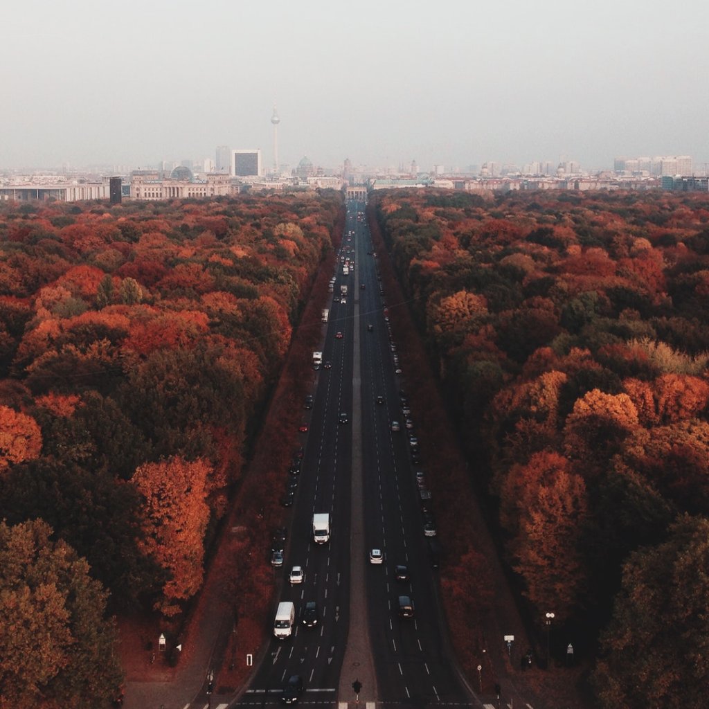 braintrustgroup's tweet image. Fall is in full swing! As the trees begin to shed their leaves, consider what bad habits your team could afford to shed before beginning the next sprint. #YourAgileJourney #YourAgileAdvisor