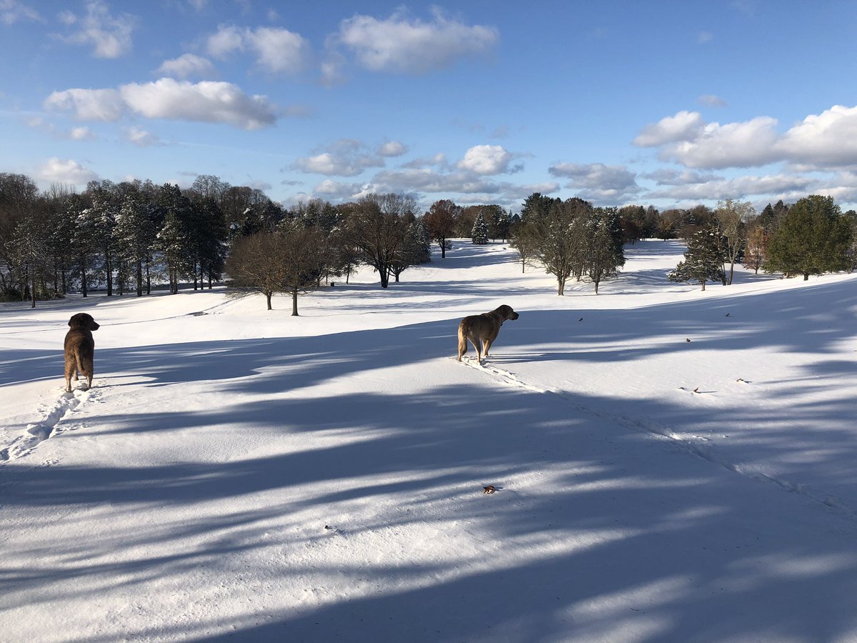 Keeping watch. <a href="/DogsOfTurf/">Dogs Of Turf</a>