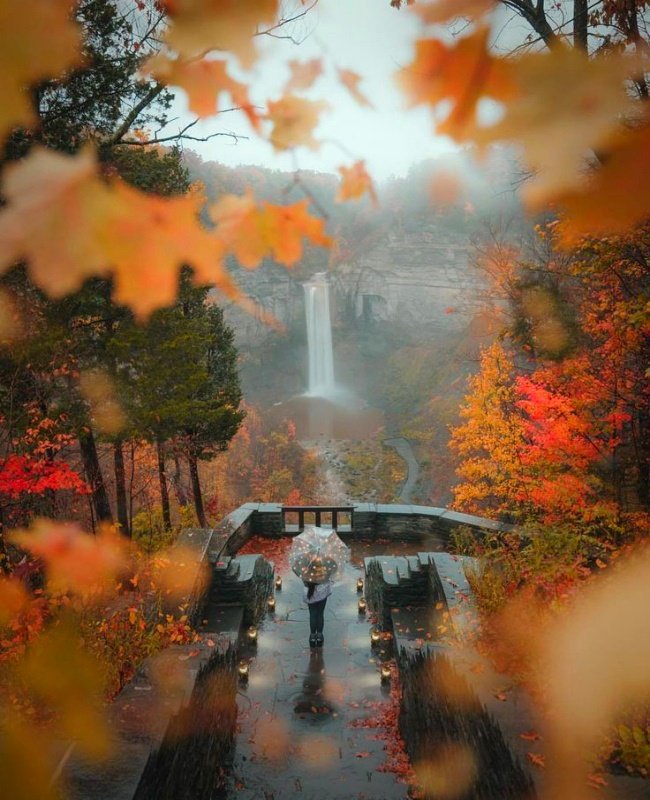 merten6565 (@merten6565) on Twitter photo 