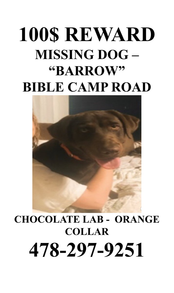tris_sledge's tweet photo. One more time: He’s missing from the Byron/Fort Valley area. He’s very friendly and will come if called!!! If you see him and can get him to come to you, we’re giving a reward and I’ll pay you extra for holing him up in your garage or house. PLEASE. https://t.co/rongm0o2CG