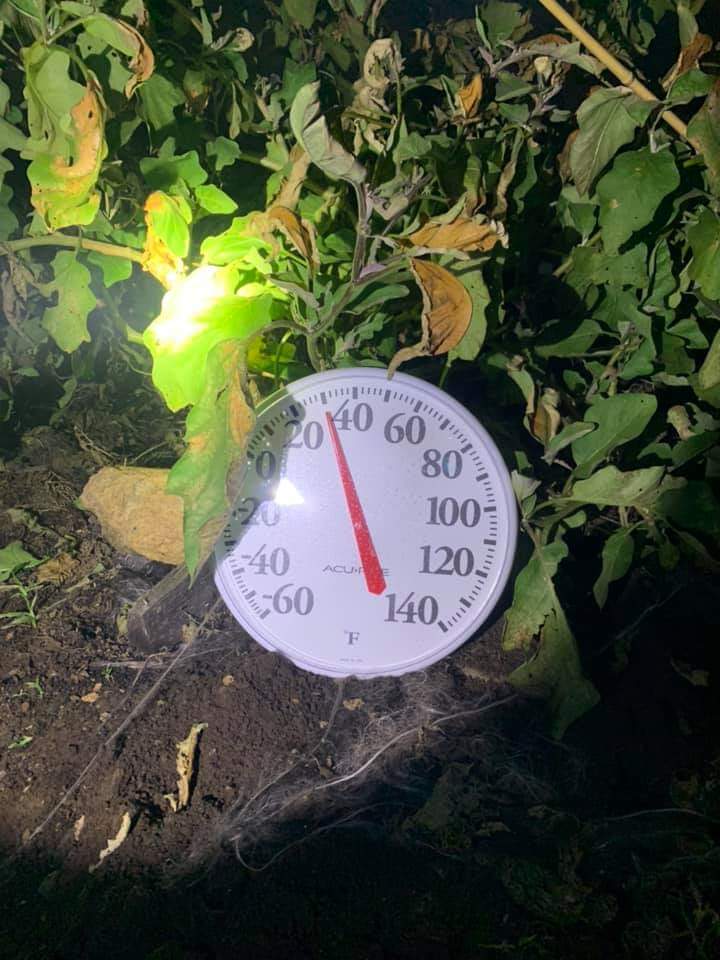 speedrat330's tweet photo. @LaCajaChina what do you do when temps are getting to freezing point &amp; you gotta keep you crops warm?  Fire up the caja china of course. @omvvip #coldfront #freezingtemps #countrylife https://t.co/IfbBOxnZdd