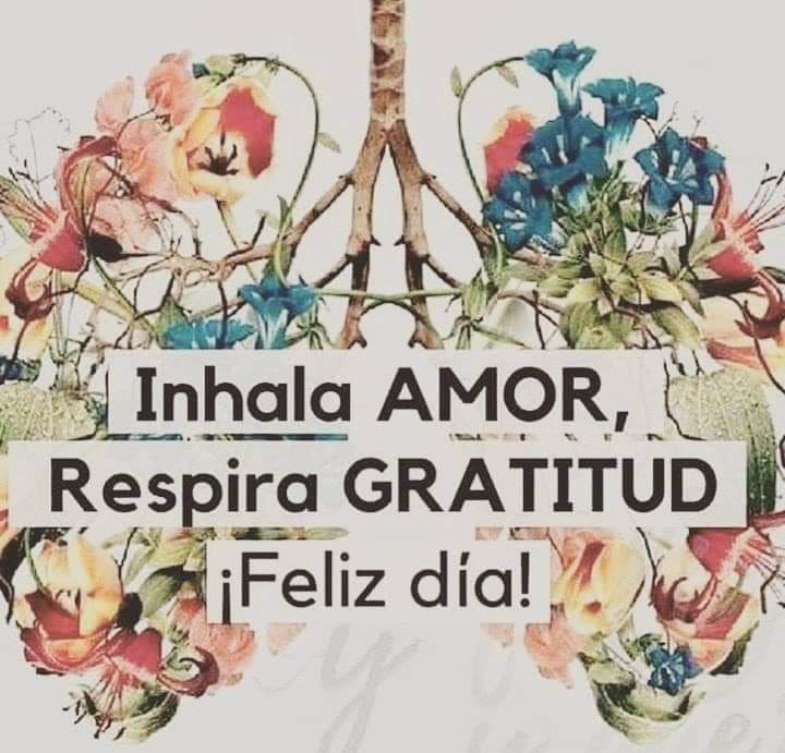 JuanjoEscobarV's tweet photo. https://t.co/pfFiqs8HhX
