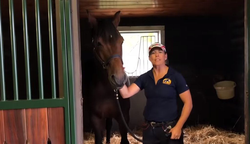 We are OBSESSED with these tutorials put on by the team at Beezie Madden / John Madden Sales, Inc. Watch three of our most recent faves here on JN!  #equestrian #hunterjumper #TheMaddenMethod
buff.ly/2paCd76