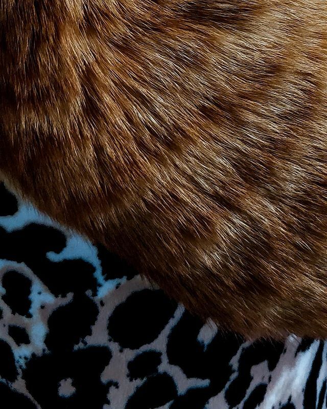 JenVisSooper's tweet photo. Texture https://t.co/TgQ06HJdxg https://t.co/2cNo0g5UQJ