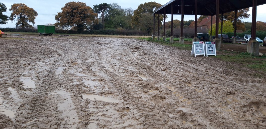 MattThompson158's tweet photo. Another good sale today with Brown and Co! Even with less than ideal conditions https://t.co/EcnaPk3tzE