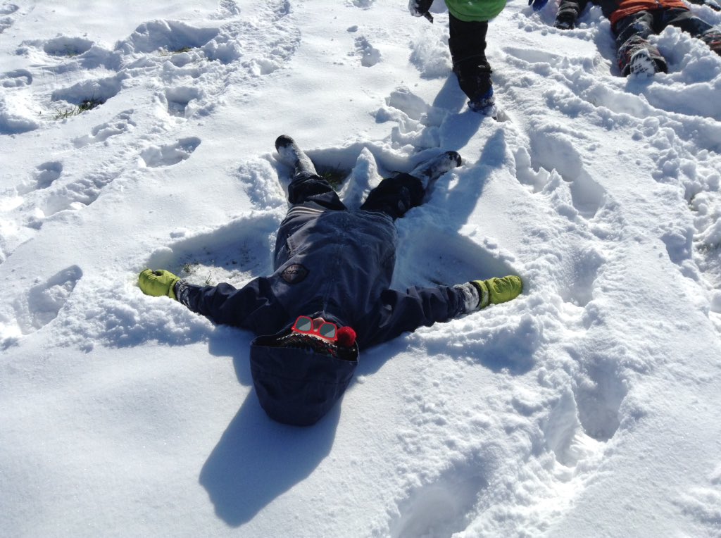 Mrs.MacKenzie tweet media