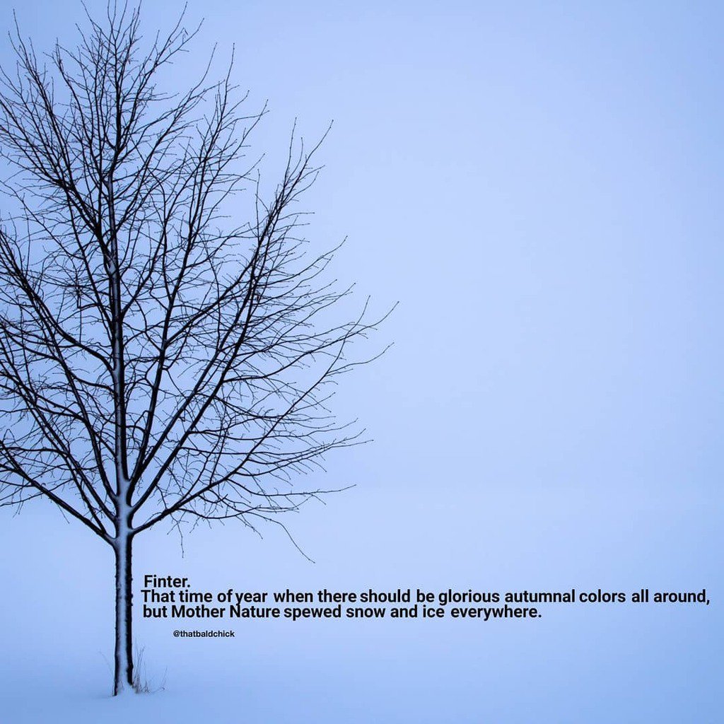 thatbaldchick's tweet image. Nobody likes #finter.
❄❄❄
#justsaying #fall #winter #winterweather #wherearethecolors ift.tt/36YZXfF