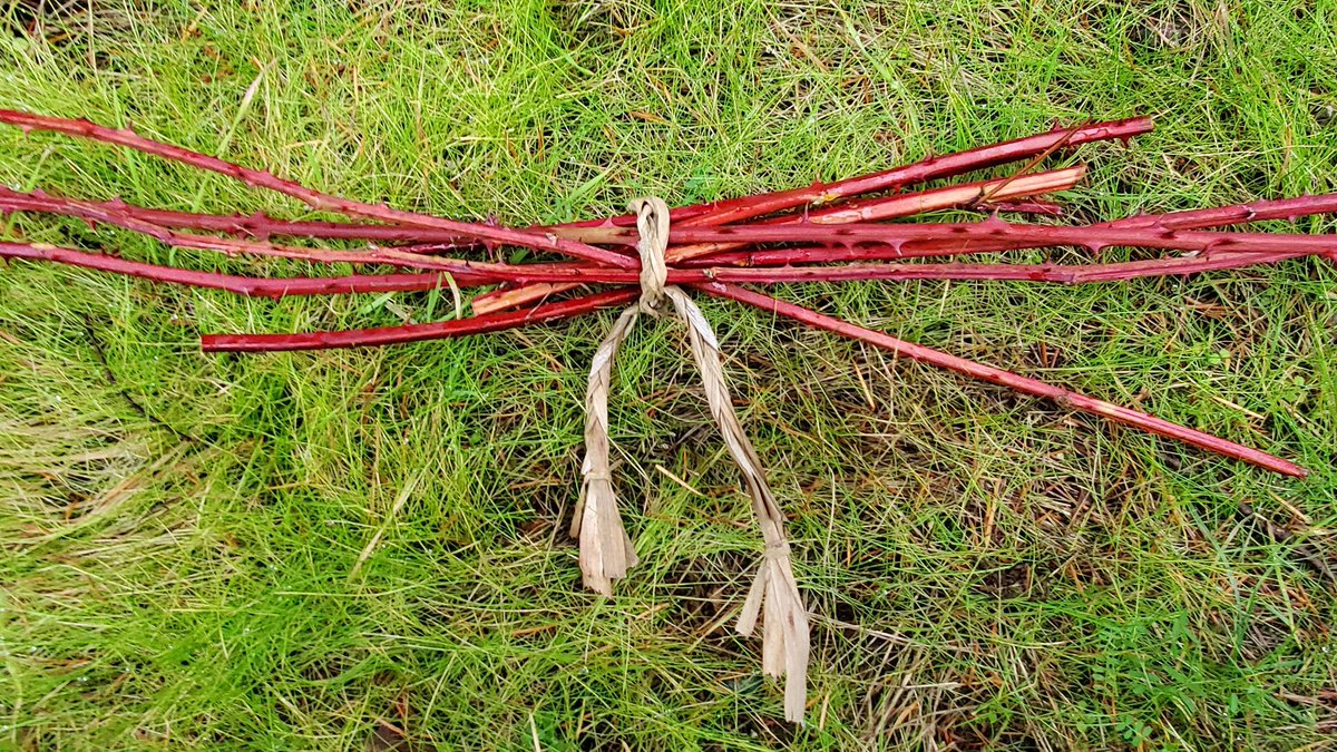 Jay_Ordog's tweet image. Went out to collect some materials. Wove a little grass rope to help me carry it home and avoid those pesky thorns.

Ave Satanas
#witch #witchcraft #spellwork