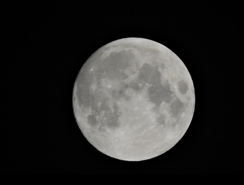 In honor of tonight’s full moon I wanted to share photos that I’ve taken of the moon in it’s different phases over the past few months
I have deep gratitude for the mystery, power & magic of grandmother moon
#moon #fullmoon #respect #moonenergy #gardenforevertarot #magic #psychic