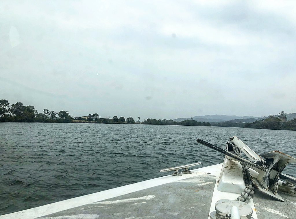 MtWarningTours's tweet photo. Eerie vibes on the Tweed River today as the #NSWbushfires curtain #MountWarning... but it’s still a beautiful time cruising on the river. #thetweed https://t.co/6YMILwFjBy