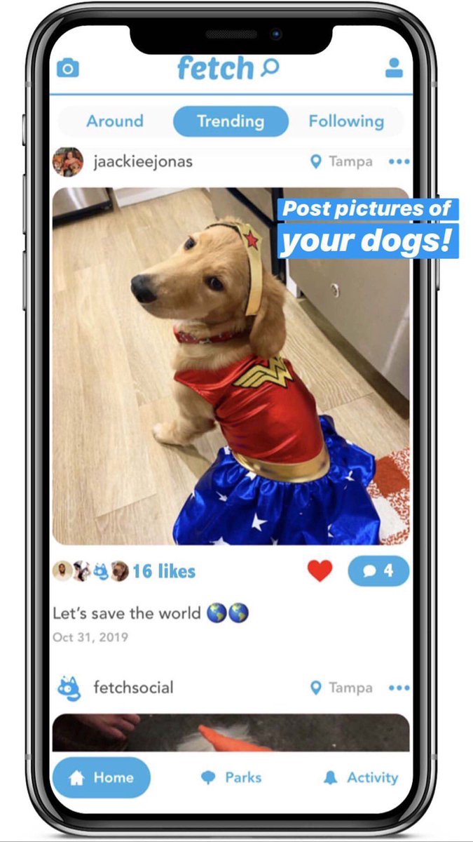 FetchSocial_'s tweet photo. What is #FetchSocial? Our app is a platform where you can connect with other dog owners and build relationships by sharing pictures and planning play dates at the park! Here are some features: https://t.co/Jwc9jLJwIz