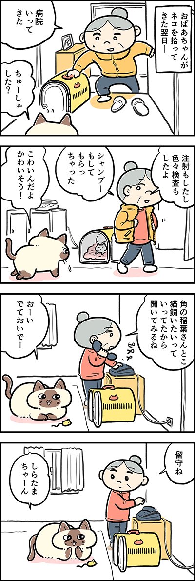 おーい、出ておいで～?

『猫のおふくちゃん』の過去のお話「おふくちゃんと子猫②」がカラーになりました。
毎週水曜と土曜に連載中♪

⇒( 

#猫のおふくちゃん 