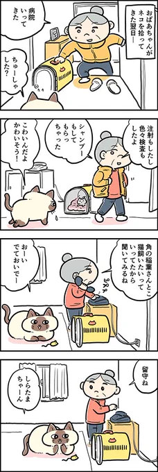 おーい、出ておいで～?

『猫のおふくちゃん』の過去のお話「おふくちゃんと子猫②」がカラーになりました。
毎週水曜と土曜に連載中♪

⇒( 

#猫のおふくちゃん 