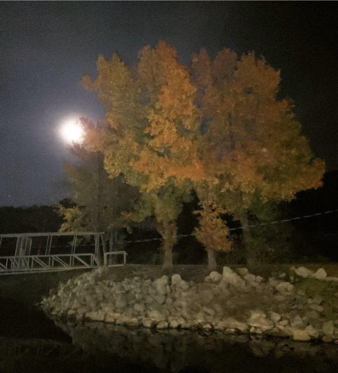 Thank you, LeeAnn Branum, for sharing this lovely fall lake photo!