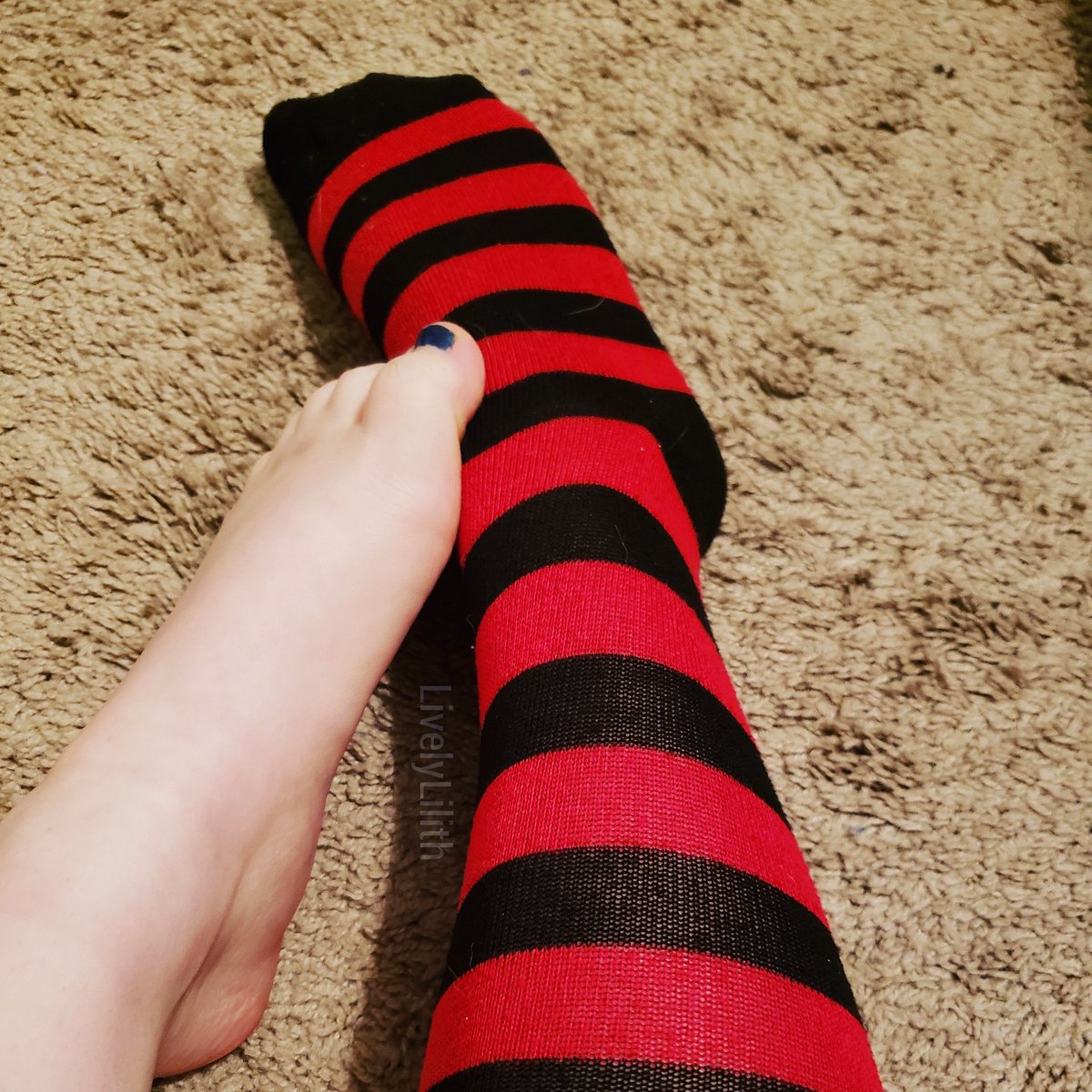 HazeLilith's tweet photo. Selling foot pics
 #cashslaveswanted #paypigwanted https://t.co/bfiYckb1ZL