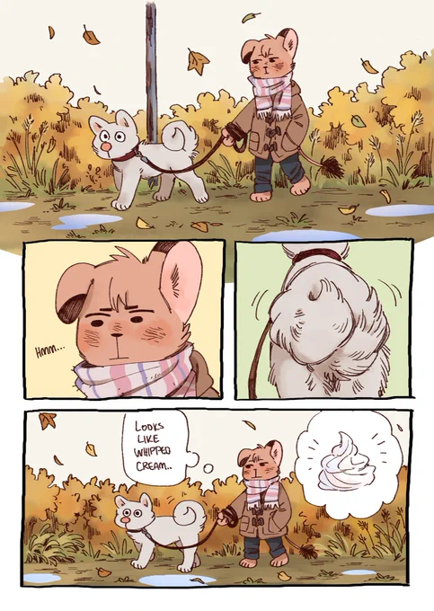 important observations 