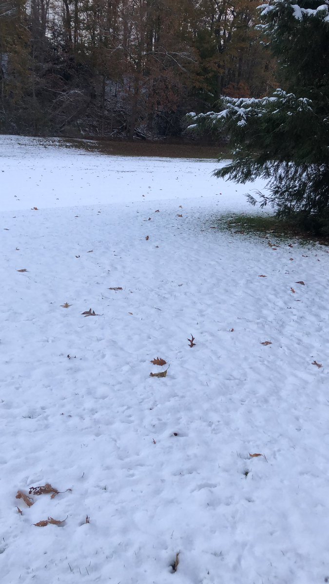 BrianJB85's tweet photo. Running in the snow > #getmiles https://t.co/Wu63ttH9YG