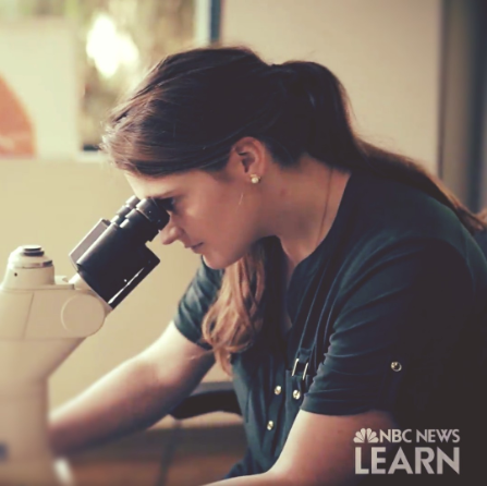 UPSIDEfoods's tweet photo. @NBCNews' latest episode of #DiscoveringYou features our very own Michaela Walker, a research engineer here at Memphis Meats. Learn about her path to biotechnology and her groundbreaking work at Memphis Meats in this week's @NBCNewsLearn clip: https://t.co/5LiA87TZOp https://t.co/HoUgzAcKUj